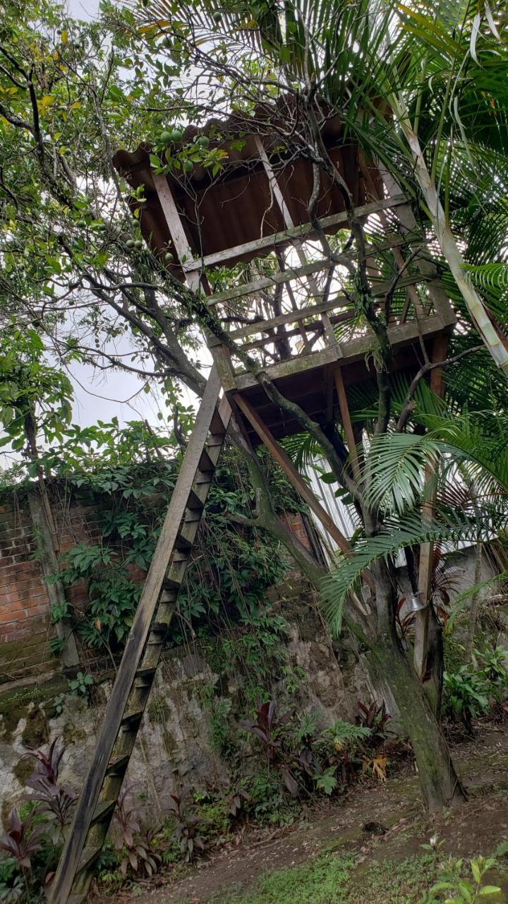 Domus Hotel 圣萨尔瓦多 外观 照片
