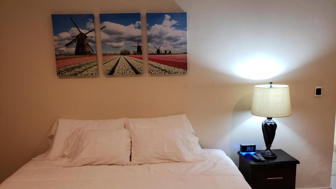 Domus Hotel 圣萨尔瓦多 外观 照片