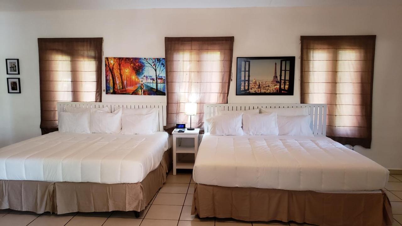 Domus Hotel 圣萨尔瓦多 外观 照片