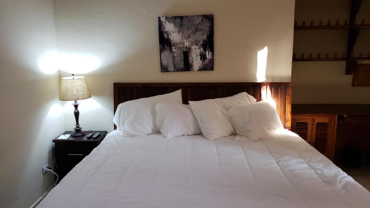 Domus Hotel 圣萨尔瓦多 外观 照片