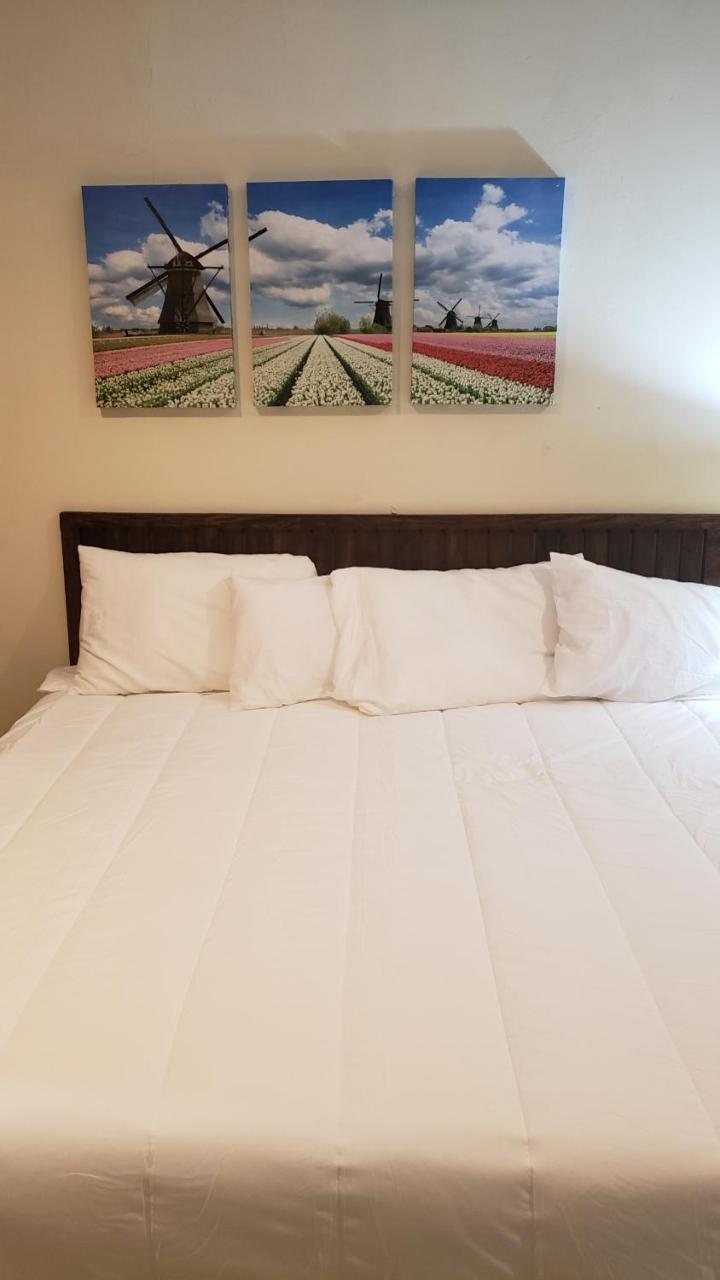 Domus Hotel 圣萨尔瓦多 外观 照片