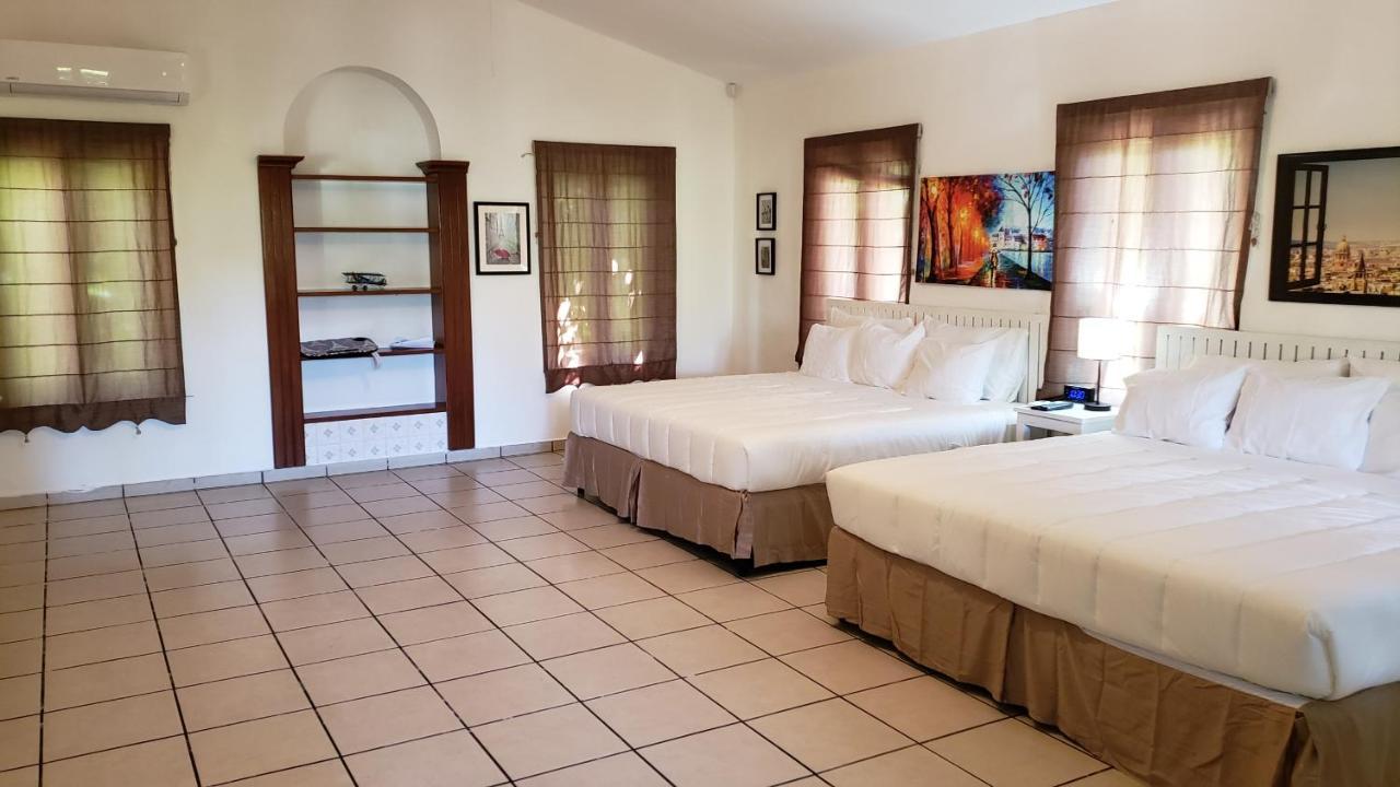 Domus Hotel 圣萨尔瓦多 外观 照片